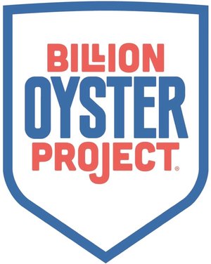 Billion Oyster Project Volunteer Programs