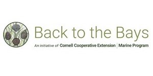 Back To The Bay Volunteer & Internship Programs