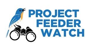 Project Feeder Watch