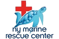 New York Marine Rescue Internships